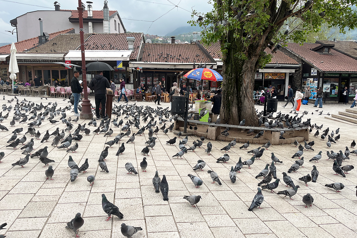 Sebilj Sarajevo Bosnia-Hertsegovina
