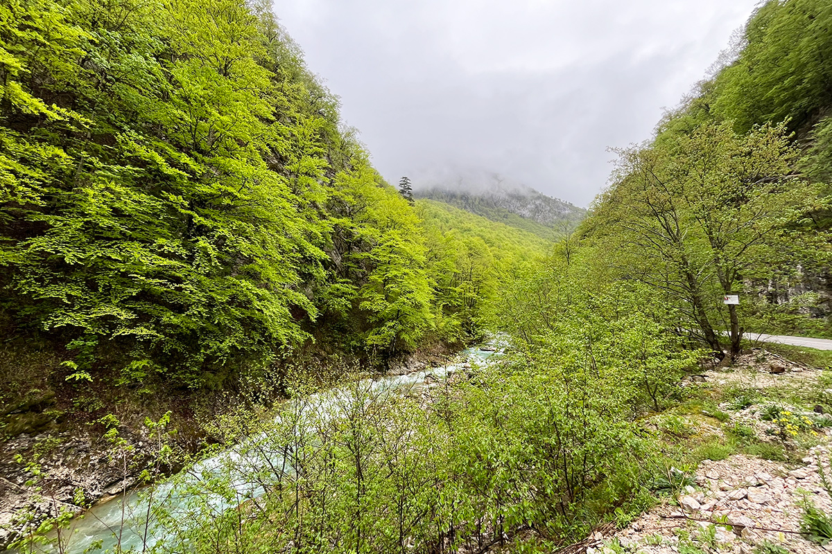 Bosnia-Hertsegovina