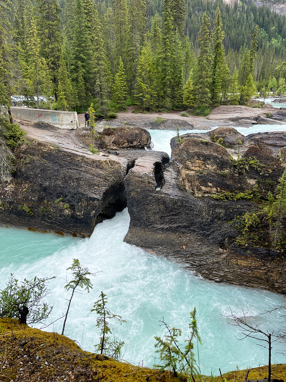 Natural Bridge Yoho Kalliovuoret Kanada