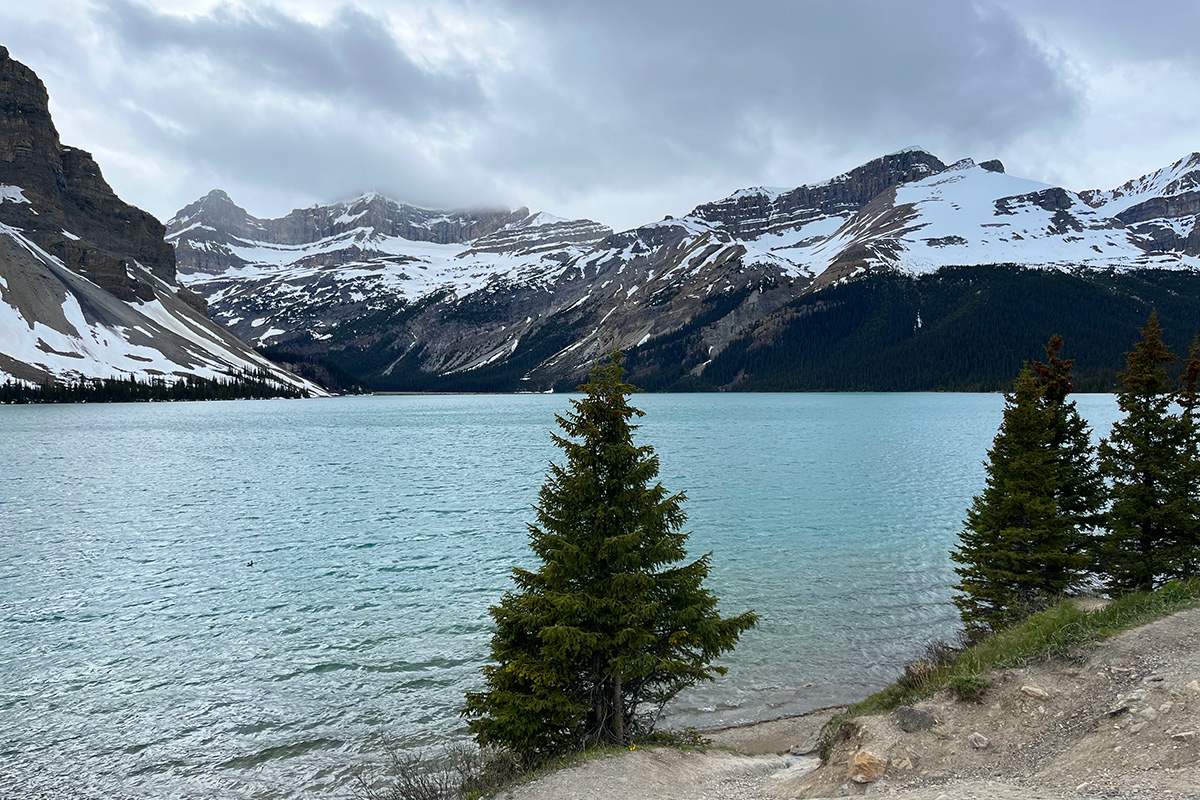 Bow Lake Icefields Parkway Kanada