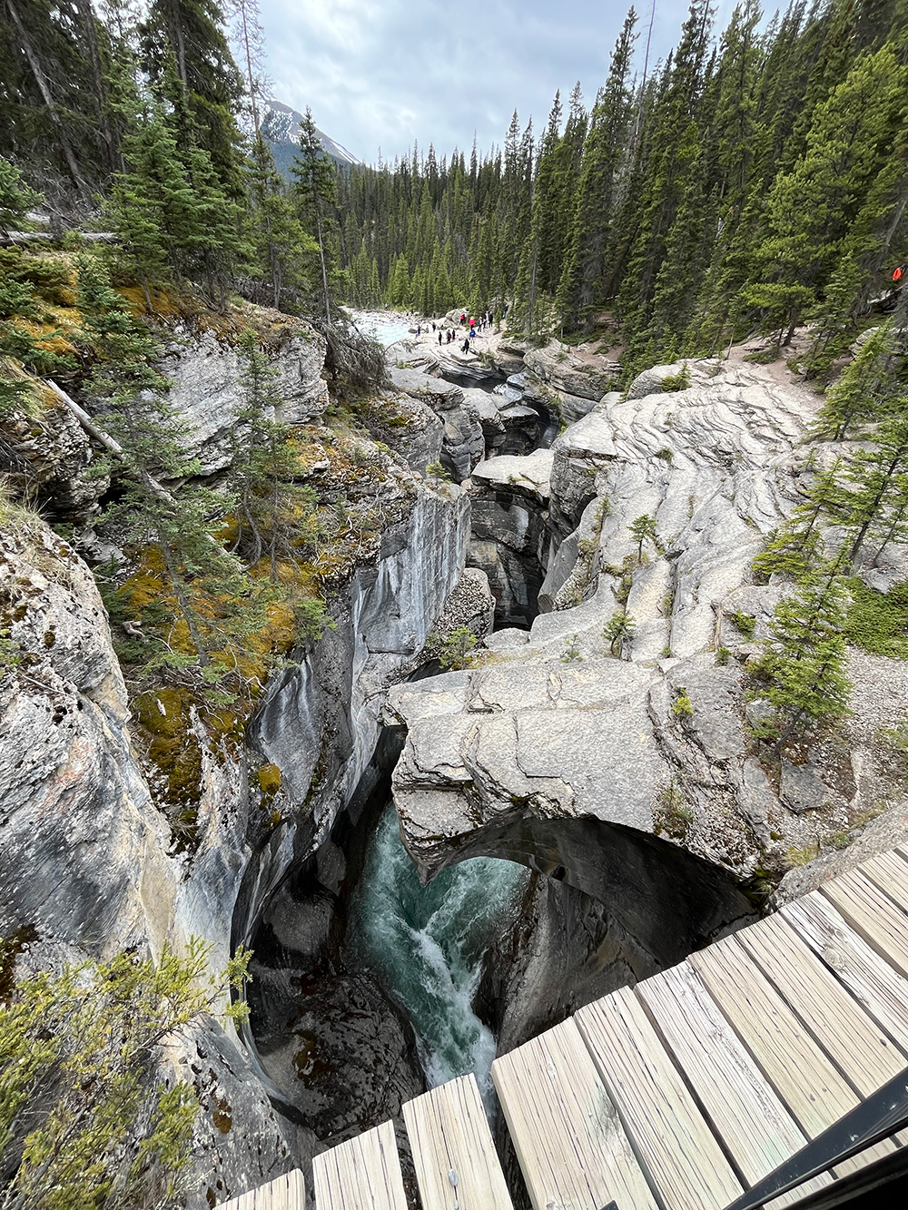 Mistaya Canyon Icefields Parkway Kanada