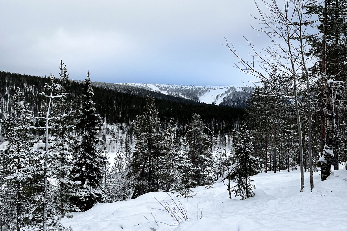 Korkeaniemen laavu Lappi
