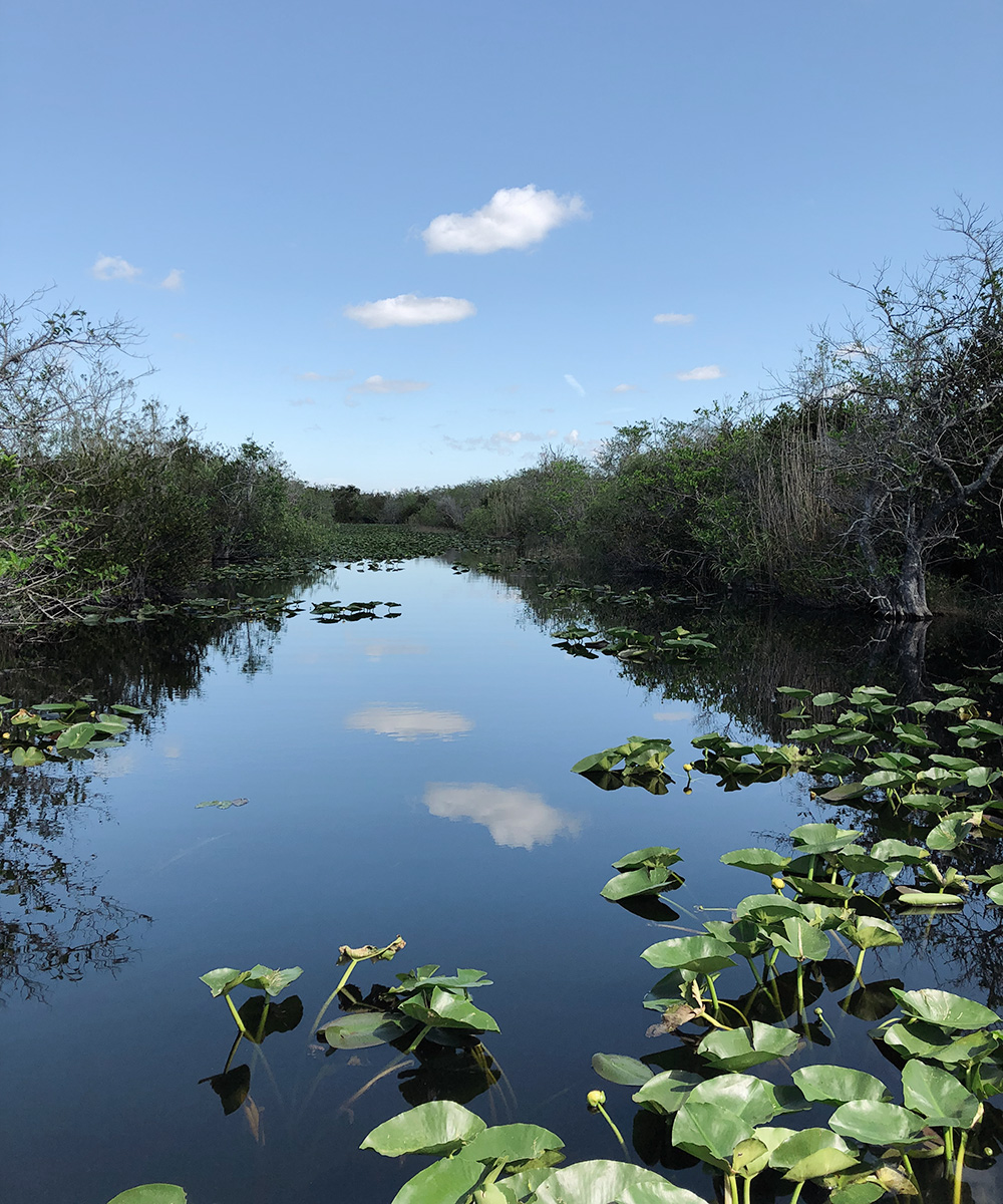 Everglades Florida