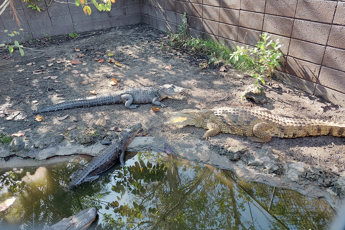 Everglades Florida