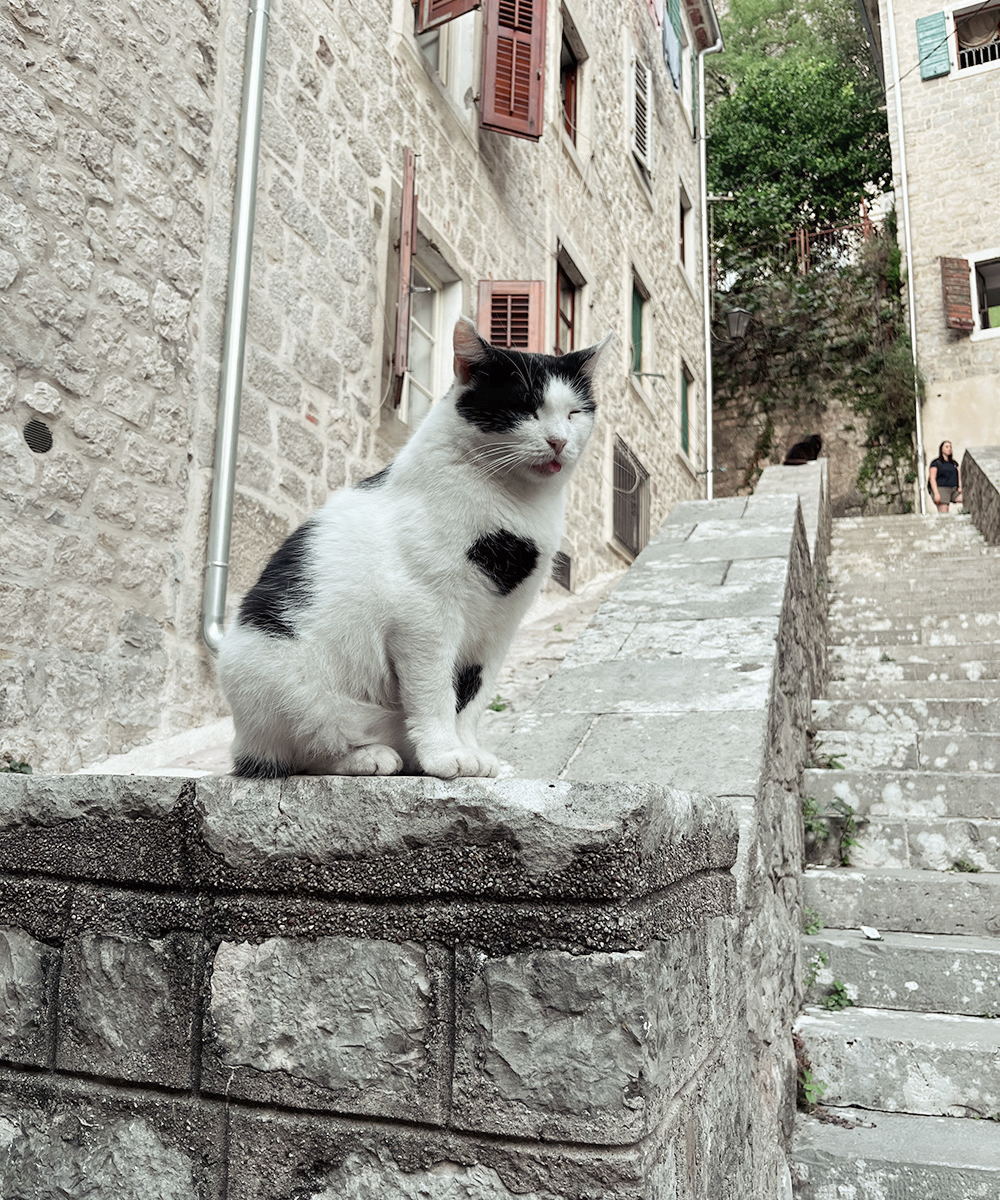 Kotor Montenegro