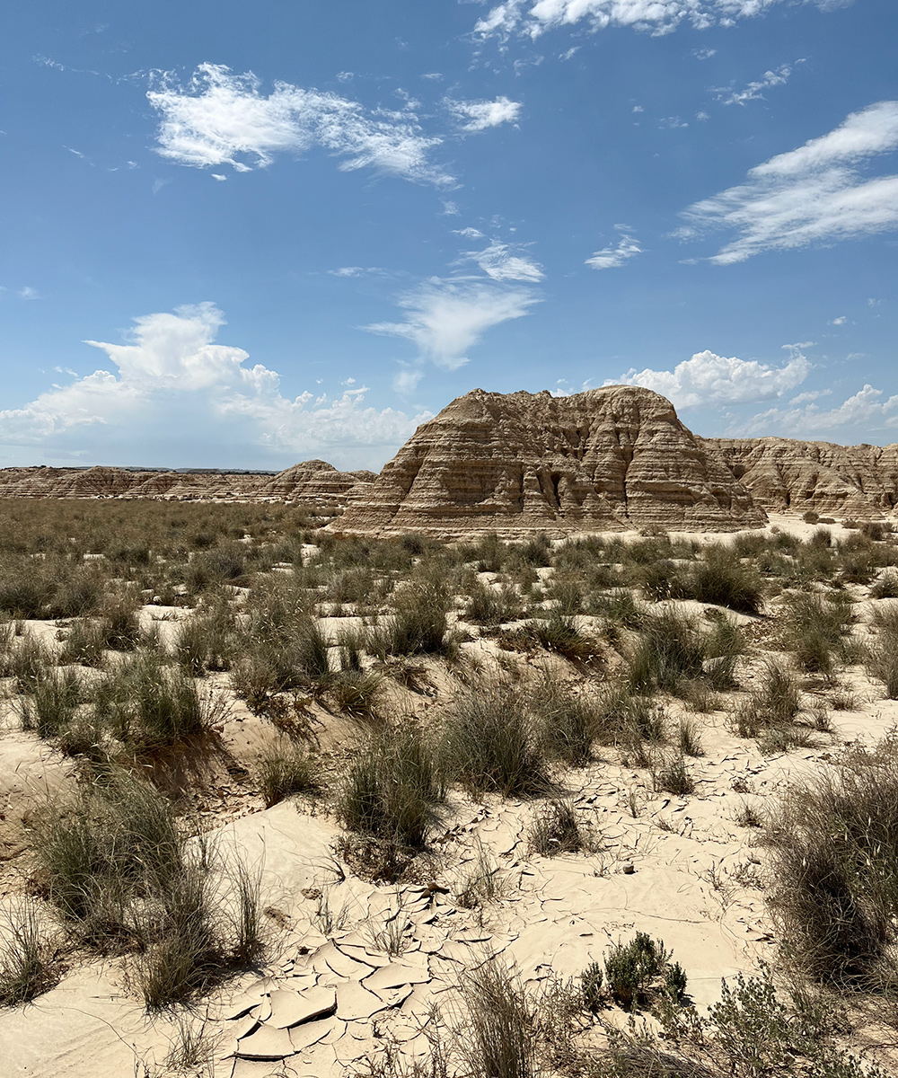 Bardenas Reales Espanja