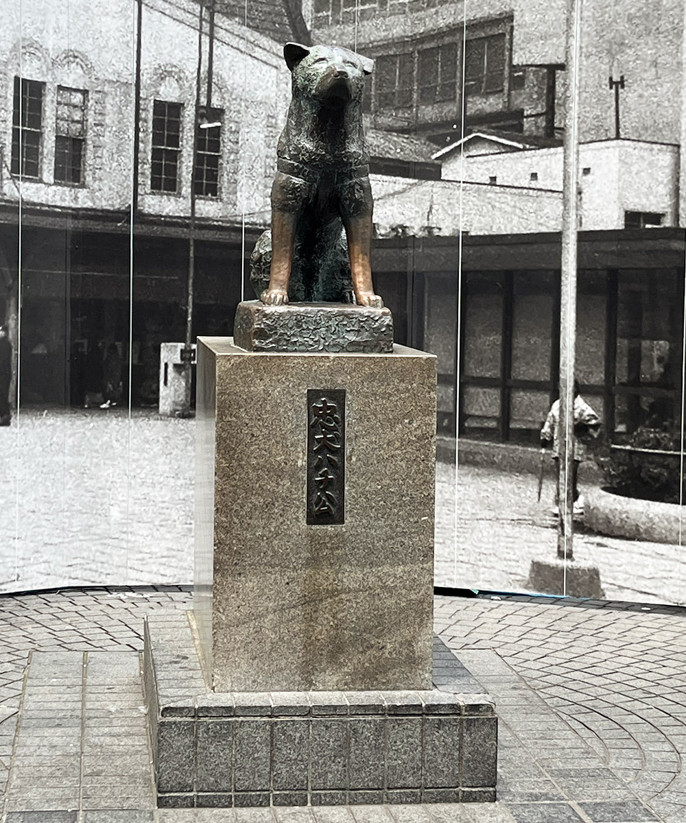 Hachikon patsas