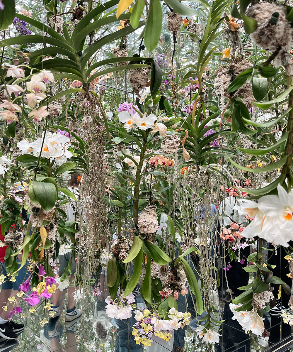TeamLab Planets