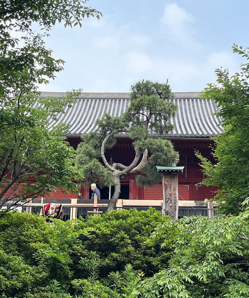 Ueno Park Tokio