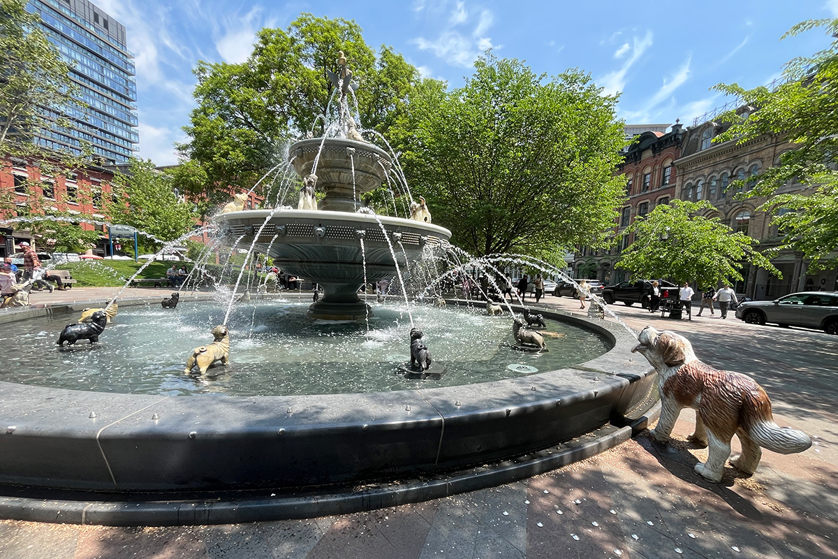 Berczy Park Toronto Kanada